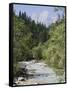 Bistrica River and Forest with Stenar Mountain Beyond in Summer, Triglav National Park, Mojstrana-Pearl Bucknall-Framed Stretched Canvas