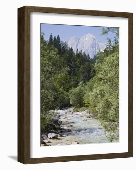 Bistrica River and Forest with Stenar Mountain Beyond in Summer, Triglav National Park, Mojstrana-Pearl Bucknall-Framed Photographic Print