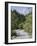 Bistrica River and Forest with Stenar Mountain Beyond in Summer, Triglav National Park, Mojstrana-Pearl Bucknall-Framed Photographic Print