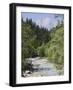 Bistrica River and Forest with Stenar Mountain Beyond in Summer, Triglav National Park, Mojstrana-Pearl Bucknall-Framed Photographic Print