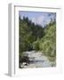 Bistrica River and Forest with Stenar Mountain Beyond in Summer, Triglav National Park, Mojstrana-Pearl Bucknall-Framed Photographic Print