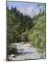 Bistrica River and Forest with Stenar Mountain Beyond in Summer, Triglav National Park, Mojstrana-Pearl Bucknall-Mounted Photographic Print