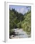 Bistrica River and Forest with Stenar Mountain Beyond in Summer, Triglav National Park, Mojstrana-Pearl Bucknall-Framed Photographic Print