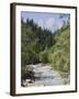 Bistrica River and Forest with Stenar Mountain Beyond in Summer, Triglav National Park, Mojstrana-Pearl Bucknall-Framed Photographic Print