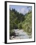 Bistrica River and Forest with Stenar Mountain Beyond in Summer, Triglav National Park, Mojstrana-Pearl Bucknall-Framed Photographic Print