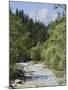 Bistrica River and Forest with Stenar Mountain Beyond in Summer, Triglav National Park, Mojstrana-Pearl Bucknall-Mounted Photographic Print