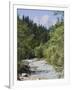Bistrica River and Forest with Stenar Mountain Beyond in Summer, Triglav National Park, Mojstrana-Pearl Bucknall-Framed Photographic Print