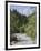 Bistrica River and Forest with Stenar Mountain Beyond in Summer, Triglav National Park, Mojstrana-Pearl Bucknall-Framed Photographic Print