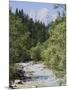 Bistrica River and Forest with Stenar Mountain Beyond in Summer, Triglav National Park, Mojstrana-Pearl Bucknall-Mounted Photographic Print