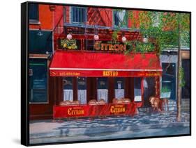 Bistro Citron, NYC, 2012-Anthony Butera-Framed Stretched Canvas