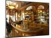 Bistrot Du Peintre, Art Nouveau Decor, Paris, France-Per Karlsson-Mounted Photographic Print