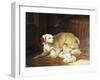 Bitch Nursing Puppies-Jean-Baptiste Oudry-Framed Giclee Print