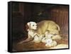 Bitch Nursing Puppies-Jean-Baptiste Oudry-Framed Stretched Canvas