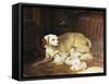 Bitch Nursing Puppies-Jean-Baptiste Oudry-Framed Stretched Canvas