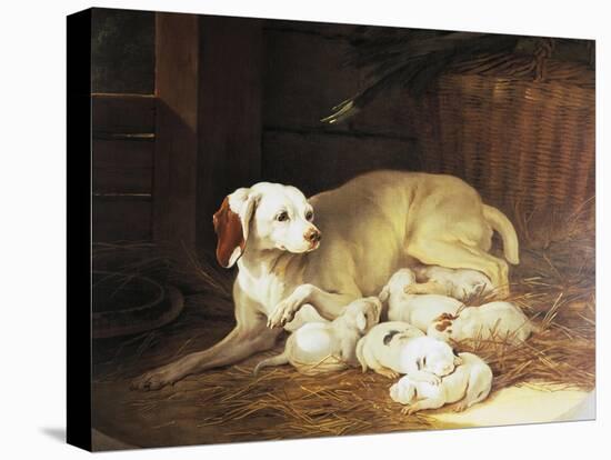 Bitch Nursing Puppies-Jean-Baptiste Oudry-Stretched Canvas