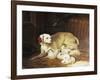 Bitch Nursing Puppies-Jean-Baptiste Oudry-Framed Giclee Print