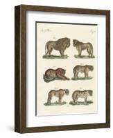 Biting Animals-null-Framed Giclee Print