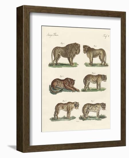 Biting Animals-null-Framed Giclee Print