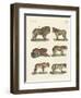 Biting Animals-null-Framed Giclee Print