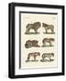 Biting Animals-null-Framed Giclee Print