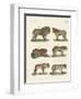 Biting Animals-null-Framed Giclee Print