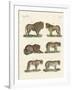 Biting Animals-null-Framed Giclee Print