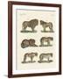 Biting Animals-null-Framed Giclee Print