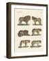 Biting Animals-null-Framed Giclee Print