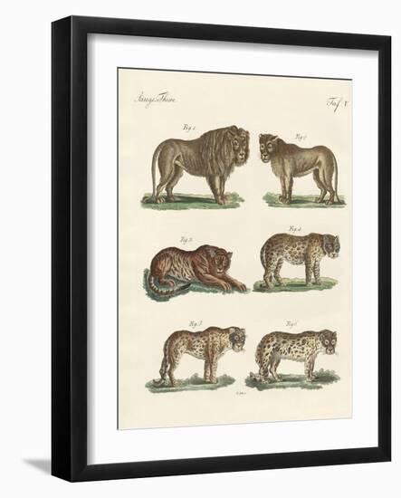 Biting Animals-null-Framed Giclee Print