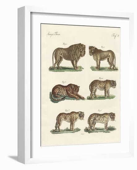 Biting Animals-null-Framed Giclee Print