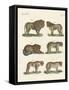 Biting Animals-null-Framed Stretched Canvas