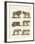 Biting Animals-null-Framed Giclee Print