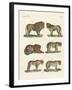 Biting Animals-null-Framed Giclee Print