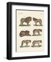 Biting Animals-null-Framed Premium Giclee Print