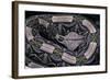 Bitis Gabonica (Gaboon Viper)-Paul Starosta-Framed Photographic Print