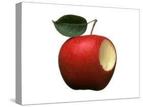 Bitten Apple-Wolfgang Usbeck-Stretched Canvas