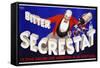 Bitter Secrestat Poster-null-Framed Stretched Canvas