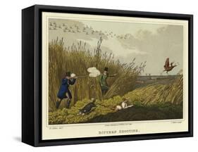 Bittern Shooting-Henry Thomas Alken-Framed Stretched Canvas