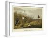 Bittern Shooting-Henry Thomas Alken-Framed Giclee Print