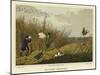 Bittern Shooting-Henry Thomas Alken-Mounted Giclee Print