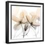 Bittersweet Clematis-Albert Koetsier-Framed Photographic Print