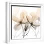 Bittersweet Clematis-Albert Koetsier-Framed Photographic Print