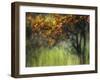 Bittersweet-Ursula Abresch-Framed Premium Photographic Print