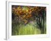 Bittersweet-Ursula Abresch-Framed Premium Photographic Print