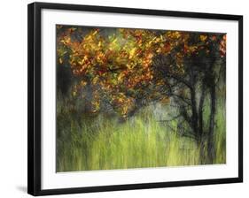 Bittersweet-Ursula Abresch-Framed Premium Photographic Print