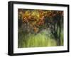 Bittersweet-Ursula Abresch-Framed Photographic Print