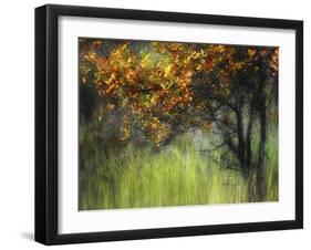 Bittersweet-Ursula Abresch-Framed Photographic Print