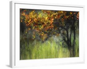 Bittersweet-Ursula Abresch-Framed Photographic Print