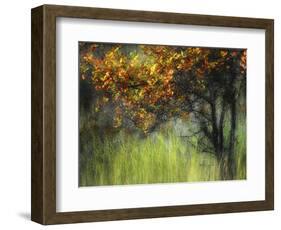 Bittersweet-Ursula Abresch-Framed Photographic Print