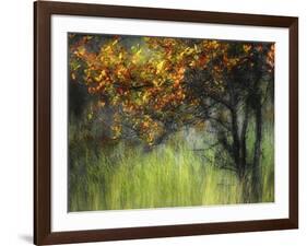 Bittersweet-Ursula Abresch-Framed Photographic Print